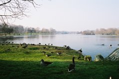 The Serpentine (1)