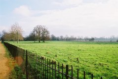 Christ Church Meadow Christ Church Meadow